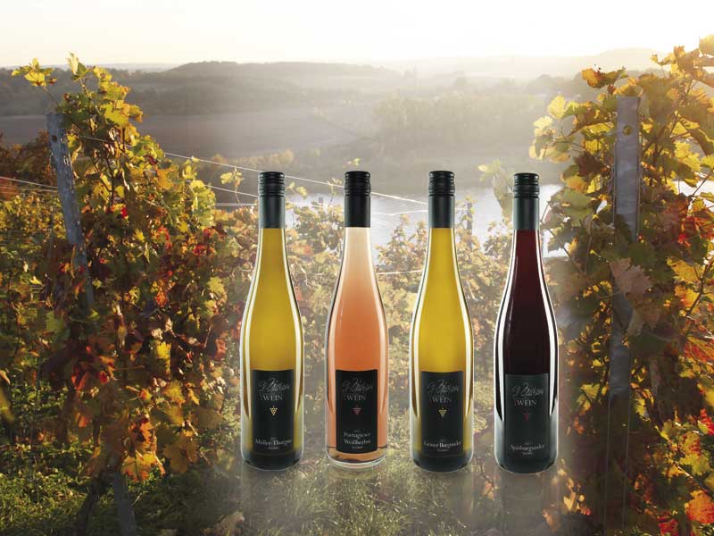 Wein-Genuss für besondere Momente Gerhard Büchner